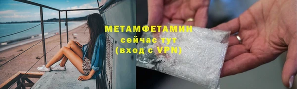 мет Алексин