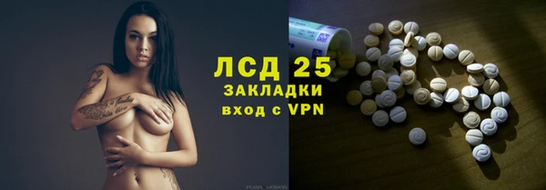 мет Алексин