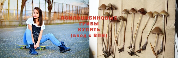 винт Абаза
