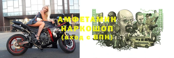 мет Алексин